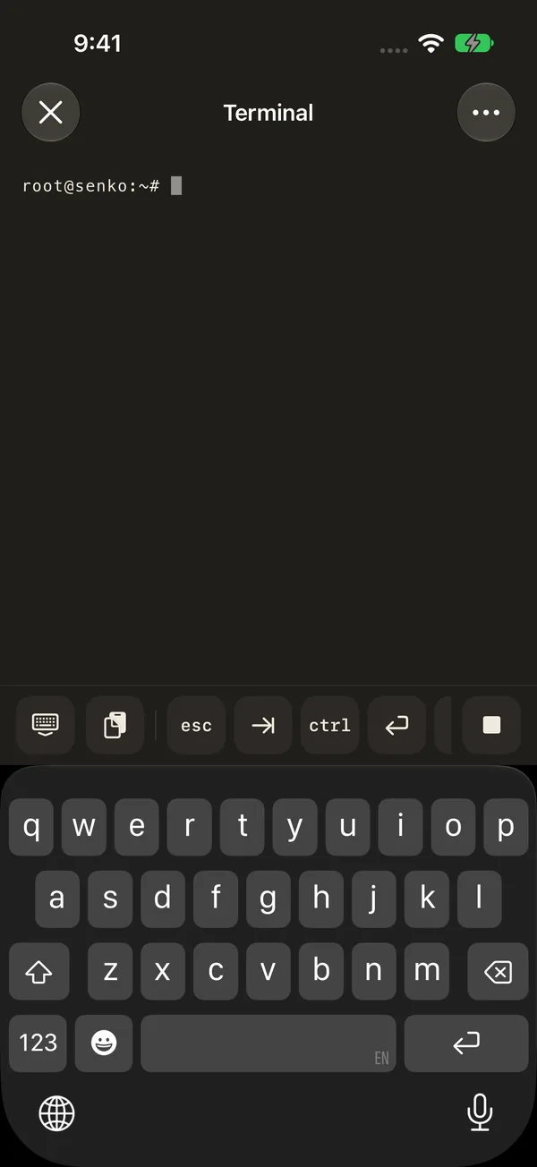 On-device terminal running in Senko